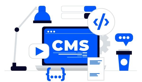 WordPress Development